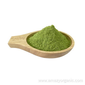 High Quality Organic Vegetable Kale Leaf Extract Powder